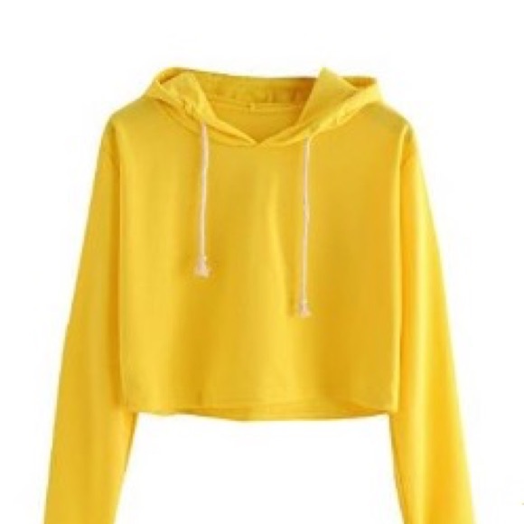 ISO - Picture 4 of 8